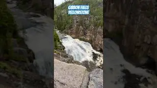 Gibbon Falls Yellowstone