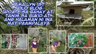 Mama Lyn 1st Blog ! Updated sa bukid + Halaman ni Ina may paampalaya ! Bhia Jhay Everything's
