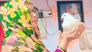 આજ ની લાઈવ માં સ્વાગત છે🦚 ચાલો ફટાફટ આવીજાવ લાઈવ માં જય દ્વારકાધીશ 😍