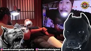 Cover up Tribal with Pitbull  Hendric Shinigami