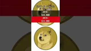 If You Bought $1,000 of Dogecoin, How Much Money Would You Have Now? #dogecoin