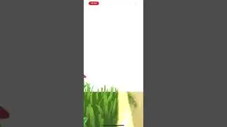 *NEW* Shaymin land form in Pokemon Go(GO FEST 2022)