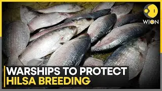 Bangladesh Navy Deploys Warships Under Hilsa Conservation Campaign | WION