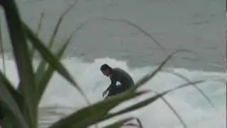 SINGLE FIN
