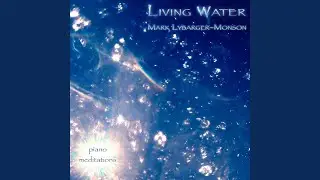 Liquid Light