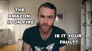 The Amazon Rainforest Fire - Your Fault?