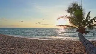Tech House Mix -  Beautiful Sunset - Melodic Techno & Progressive House Mix 2025 - Petar EDM