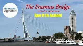 Rotterdam's Erasmus Bridge