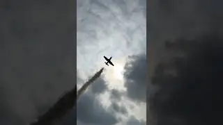 &ldquo;IL SOLISTA&rdquo; Frecce tricolori PAN #mb339