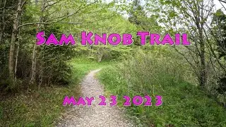 Day Hike to Sam Knob, BRP Milepost 420