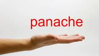 How to Pronounce panache - American English