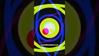 Why Do We See Optical Afterimages?