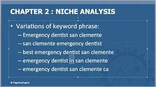 01 NIche Analysis 2