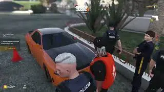DE UM DIA SIMPLES PARA UM PROBLEMAO