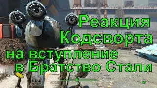 Реакция Кодсворта на вступление в Братство Стали, Fallout 4