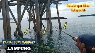 SPOT MANCING KAKAP PUTIH DI LAMPUNG !!! PANTAI DEWI MANDAPA