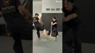 Can you Break a Bat with a Kick? | Max Academy Instructor Spotlight