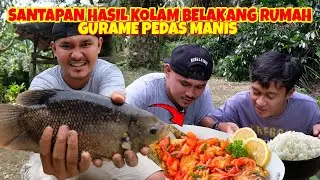 Ikan dalam kolam belakang rumah kami jadikan menu santap tereenak II gurame pedas manis II