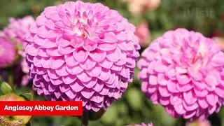 Be Inspired : Beautiful Gardens to iVisit in England