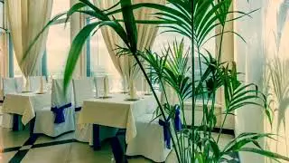 Ресторан Корона ( Санкт-Петербург )