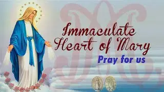 Immaculate Conception of Mary | Mother Mary | Mary Mother of God | Immaculate Heart of Mary