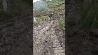 Amry potarr rasta