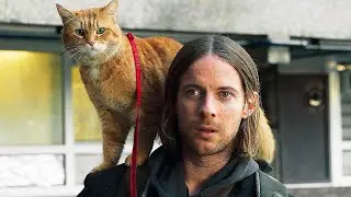 Рождество кота Боба  - A Gift From Bob - Cat Bob's Christmas: Трейлер 2020 Трейлеры Movies HD
