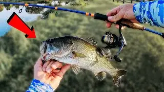 Tiny Rod & Reel Bass Fishing Challenge!! Coming Soon &hellip;