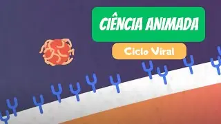 Ci&ecirc;ncia Animada - Ciclo Viral