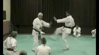 Self Defence Demo Karate ShitoRyu