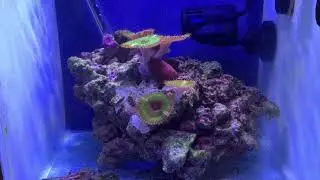 Giant paly holding tank