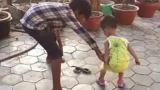 Brave Boys Catch Village Snake Along The Road   How To Catch Village Snake In My Village