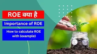 Return on Equity kya hai. How to calculate ROE ( with Example) ROE kya hai . what is ROE in Hindi .