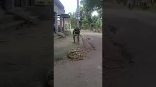 usne dog ko kapde mein kyon lapet ke #comedy #comedymove #comedyforever #comedyexclusive #comedyskit