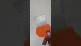 nit and lice comb👌|ஈறும் பேனும் நீக்க👍|meesho❣|shorts