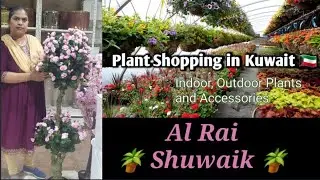 ఇన్ని రకాల పూల మొక్కలా | Plants & flowers Nursery |Kuwait cheapest indoor & outdoor plants nursery🪴