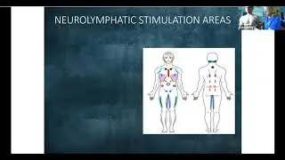 Chapmans Reflexes Masterclass - Module 5 - with Paula Nutting
