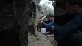 ١٢ يناير ٢٠٢٦