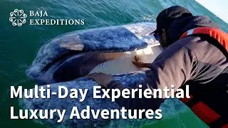 Multi-Day Experiential Luxury Adventures #baja #seaofcortez #adventure
