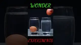 Floating Egg of Experiments Wonder |Experiments Wonder #experimentswonder #Floatingegg #shorts #fun