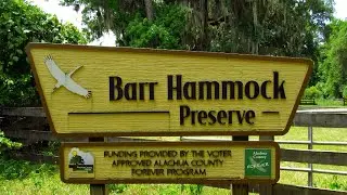 Barr Hammock Preserve