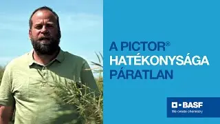 Sz&eacute;lsős&eacute;ges k&ouml;r&uuml;lm&eacute;nyek k&ouml;z&ouml;tt is Pictor&reg;!
