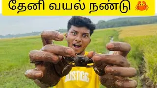 தேனி வயல் நண்டு பிடிக்கலாம் வாங்க 🦀😁💢#நண்டு #தேனி#vlog