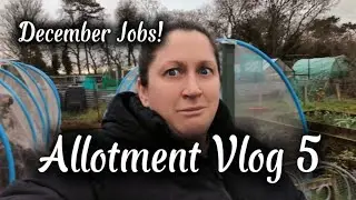 Allotment Vlog // December Planting, clearing and an up to date allotment tour! #allotment #vlog 
