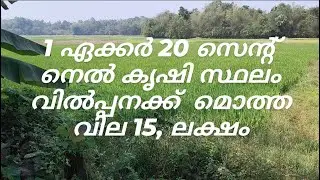 #89# 1 ഏക്കർ 20 സെന്റ് സ്ഥലം പാടം വിൽപ്പനക്ക് പാലക്കാട് ജില്ല ലെക്കിടി പഞ്ചായത്ത് ഭാഗം