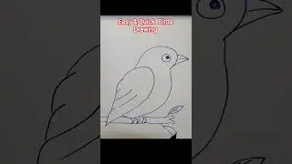 Easy and Quick Birds Drawing #shorts #youtubeshorts #ytshorts  #drawing #art