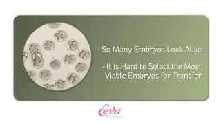 Time Lapse IVF   Eeva   Early Embryo Viability Test