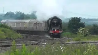 Duchess at Wychnor