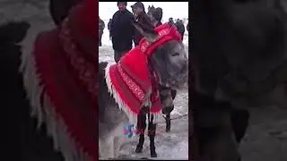Botezul cailor la Slătioara &ndash; obicei tradițional rom&acirc;nesc #2