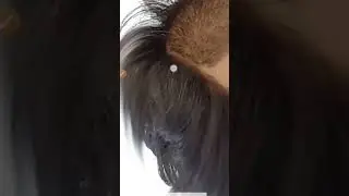 Hair Editing Trick In Autodesk Sketchbook| Sketchbook Se Hair Edit Kaise Kare|Hair Cut Photo Editing